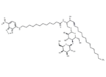 C12 NBD Lactosylceramide