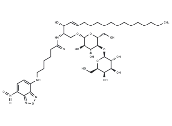 C6 NBD Lactosylceramide