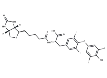 Biotin-(L-Thyroxine)