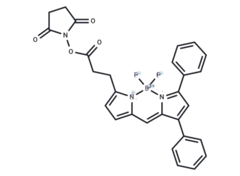 BODIPY 530/550 NHS ester