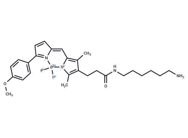 BDP TMR amine BDP TMR amine