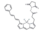 BODIPY-581/591 NHS ester