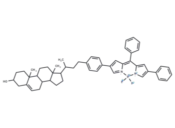 BODIPY-cholesterol conjugate-2