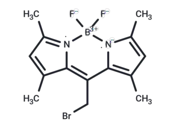 BODIPY 493/503 methyl bromide