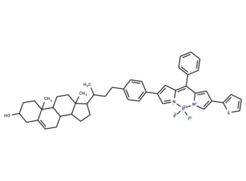 BODIPY-cholesterol conjugate-3