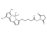 BODIPY FL-C5 NHS Ester