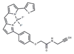 Bodipy TR alkyne 1 Bodipy TR alkyne