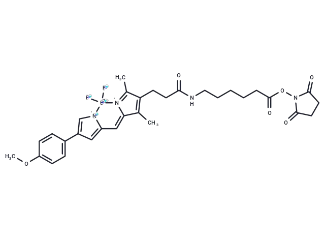 BODIPY TMR NHS ester CgoaEGa8jryEWppcAAAAAFgWIJk447- Immunomart