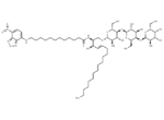 C12 NBD Globotriaosylceramide