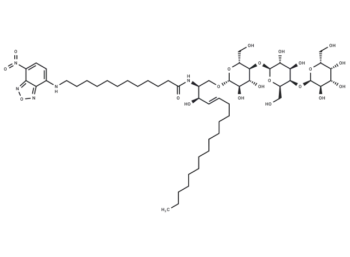 C12 NBD Globotriaosylceramide