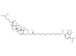 3-NBD-C12 Cholesterol