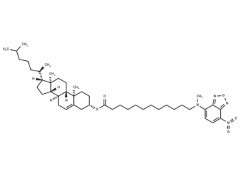 3-NBD-C12 Cholesterol