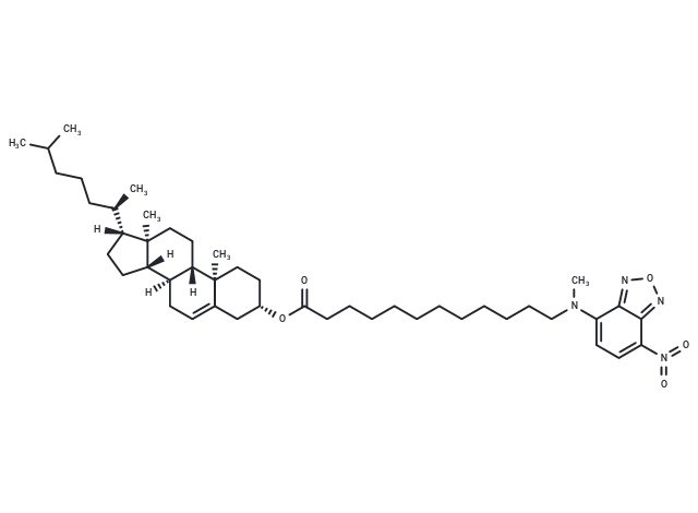 3-NBD-C12 Cholesterol