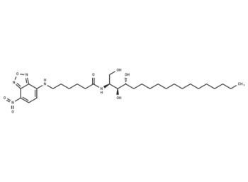 C6 NBD Phytoceramide