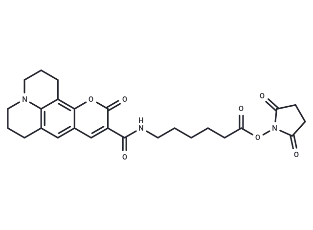 Coumarin 343 X NHS ester