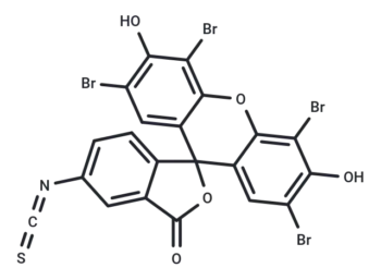 Eosin 5-isothiocyanate