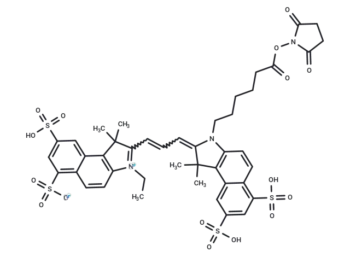 Cy3.5 NHS ester