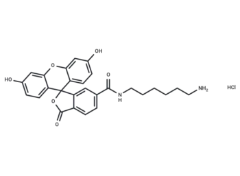 FAM amine, 6-isomer