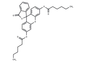 Fluorescein dicaproate