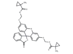 Fluorescein-CM2