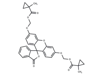 Fluorescein-CM2