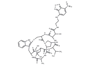 N-(7-Nitrobenzofurazan-4-yl)phallacidin