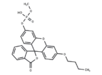 O-Methyl-O-(N-butylfluorescein)phosphate 1 O-Methyl-O-(N-butylfluorescein)phosphate