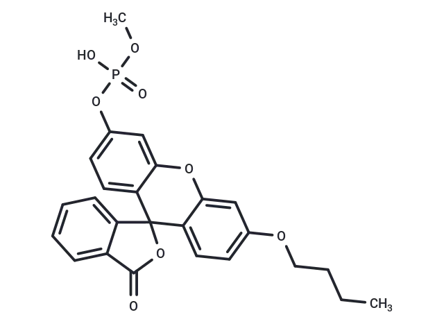 O-Methyl-O-(N-butylfluorescein)phosphate O-Methyl-O-(N-butylfluorescein)phosphate