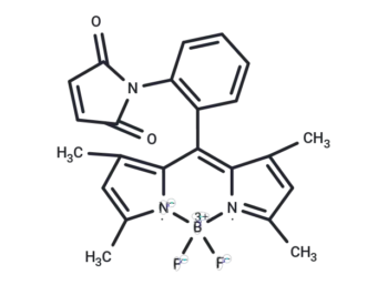 BODIPY Green 8-P2M