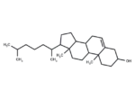 Cholesterol