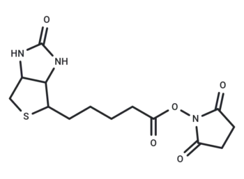 Biotin NHS