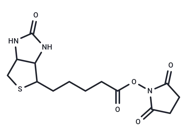 Biotin NHS