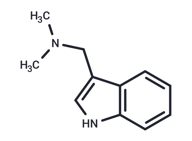 Gramine CgoaEGaDTFiEe OKAAAAAEnFz4g377- Immunomart