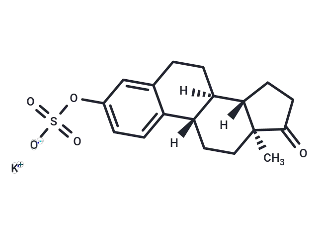 Estrone sulfate potassium - Immunomart