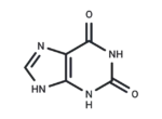 Xanthine 1 Xanthine