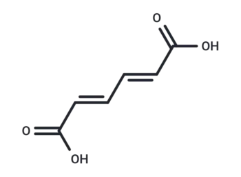 trans-trans-Muconic acid