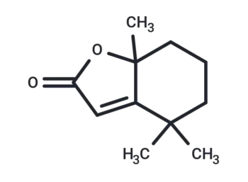 Dihydroactinidiolide