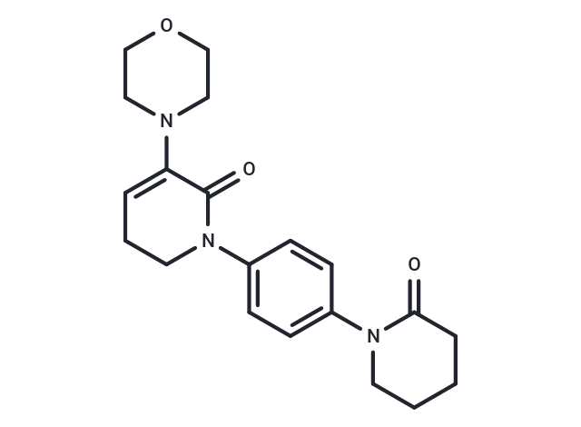 3-Morpholino-1-(4-(2-oxopiperidin-1-yl)phenyl)-5 CgoaEGayGkmEPPyRAAAAAJrURPc462- Immunomart