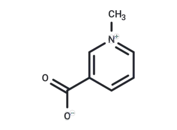 Trigonelline