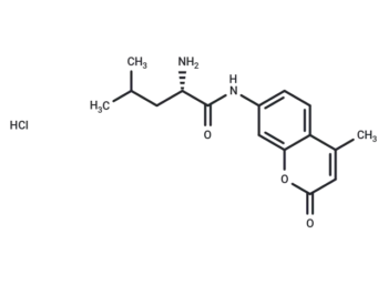 L-Leucine-7-amido-4-methylcoumarin hydrochloride