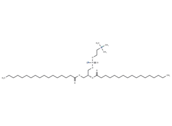 1,2-Diheptadecanoyl-sn-glycero-3-phosphorylcholine