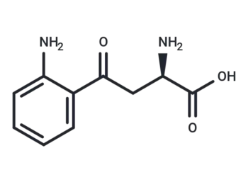D-Kynurenine