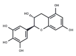 (-)-Gallocatechin