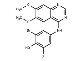 WHI-P97