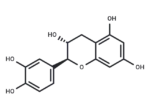 (-)-Catechin