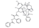 7-epi-Taxol