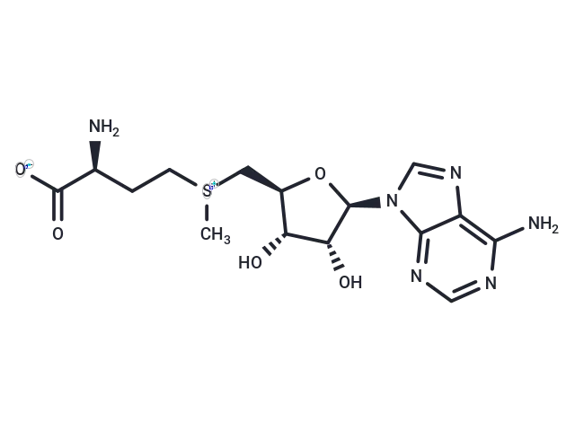S-Adenosyl-L-methionine