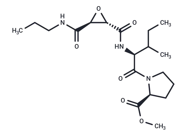 CA-074 methyl ester