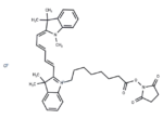 Cyanine5 NHS ester chloride