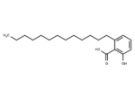 Ginkgolic Acid (C13:0)